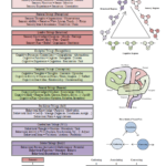 Paralogical Model Overview Thumbnail