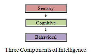 Three Components of Intelligence