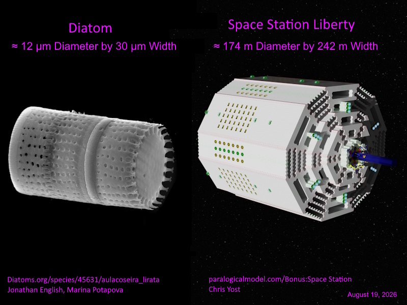 2026 Diatom compared to Space Station Liberty